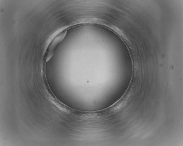 X0000071940846200607281941