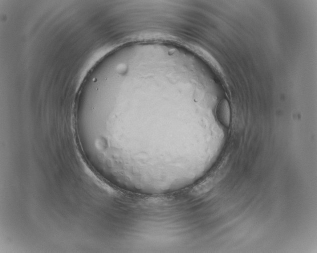 X0000071940847200607281941