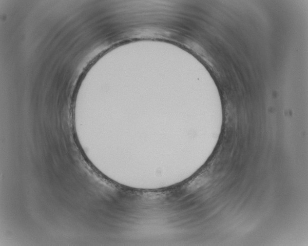 X0000071940848200607281941