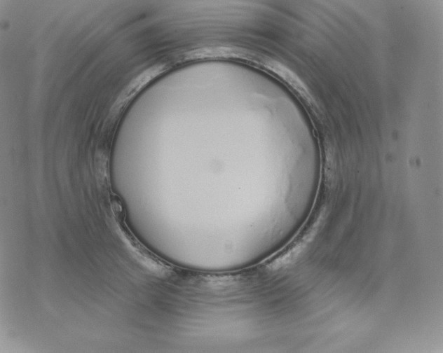 X0000071940849200607281941