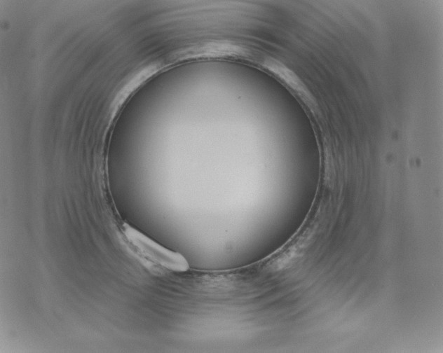 X0000071940850200607281941