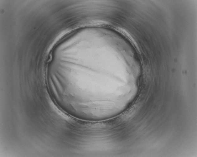 X0000071940851200607281942