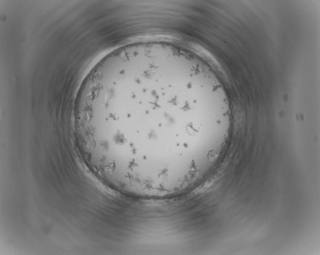 X0000071940852200607281942