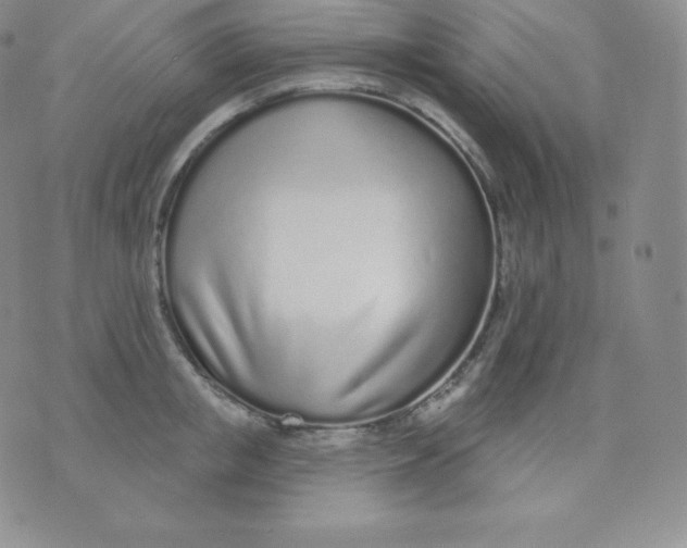 X0000071940853200607281942