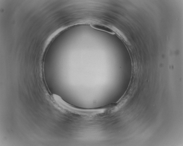 X0000071940854200607281942