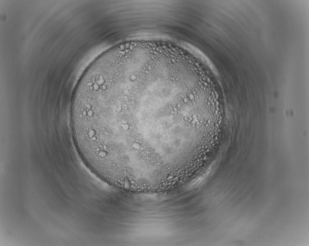 X0000071940855200607281942