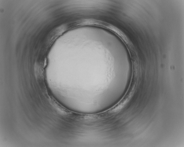 X0000071940857200607281942