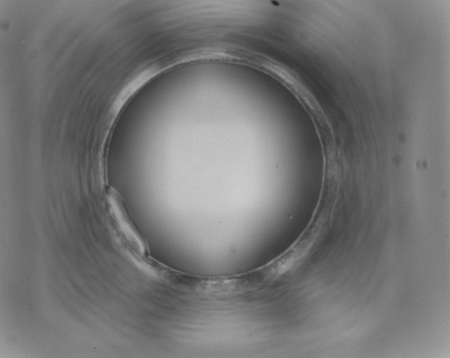 X0000071940858200607281942