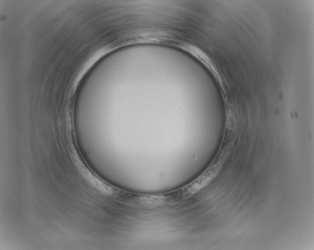 X0000071940859200607281942