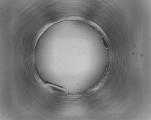 X0000071940860200607281942