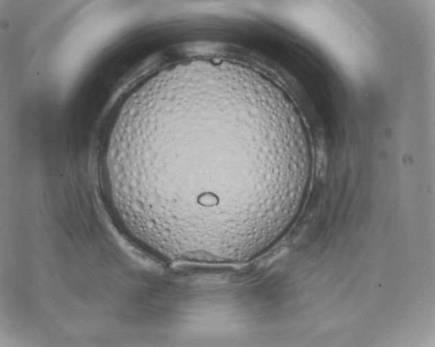 X0000071940861200607281942