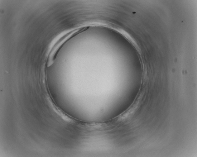 X0000071940862200607281942