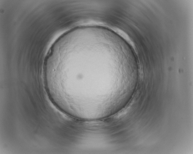 X0000071940863200607281942