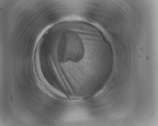 X0000071940864200607281942