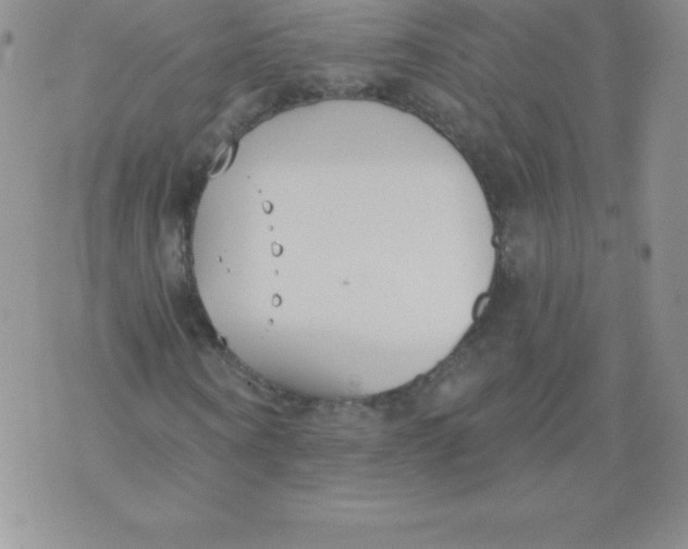 X0000071940866200607281941