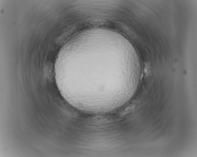 X0000071940867200607281941