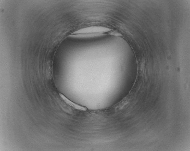 X0000071940868200607281941