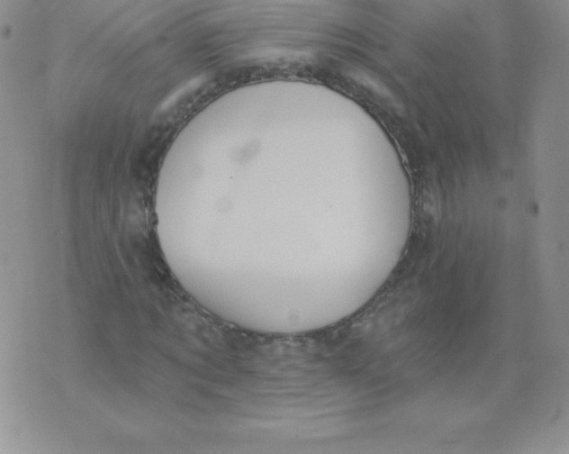 X0000071940869200607281941