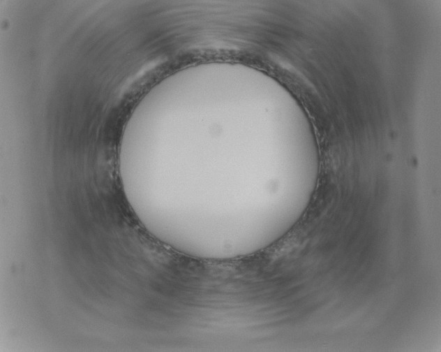 X0000071940870200607281941