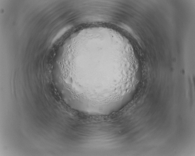 X0000071940871200607281941