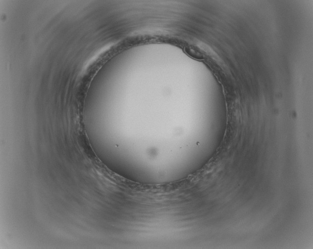 X0000071940872200607281941