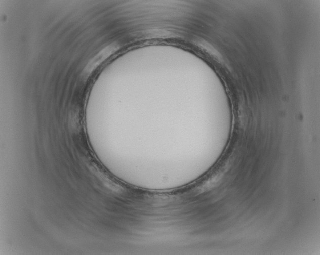 X0000071940873200607281941