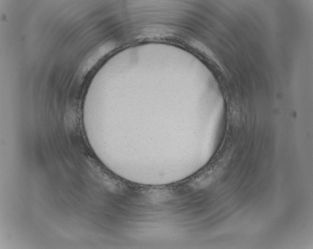 X0000071940874200607281941