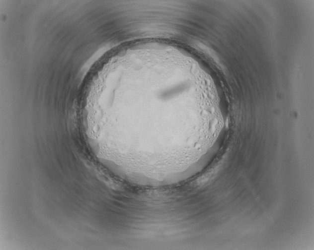 X0000071940875200607281941