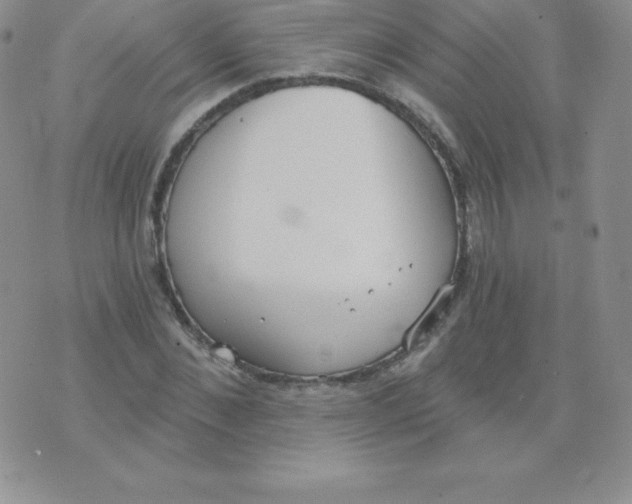 X0000071940876200607281941