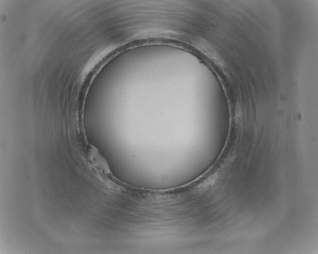 X0000071940877200607281941