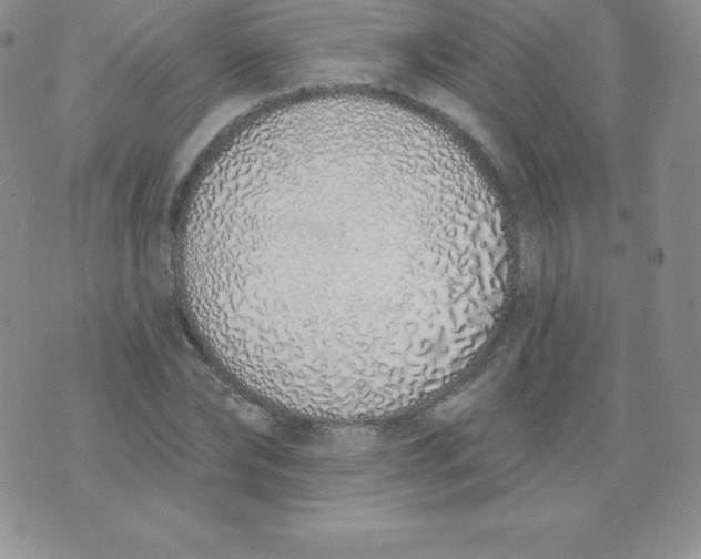 X0000071940878200607281941