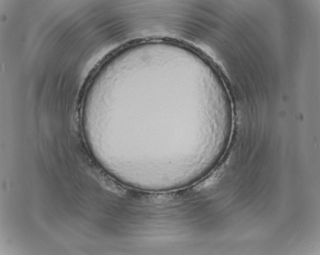 X0000071940879200607281941