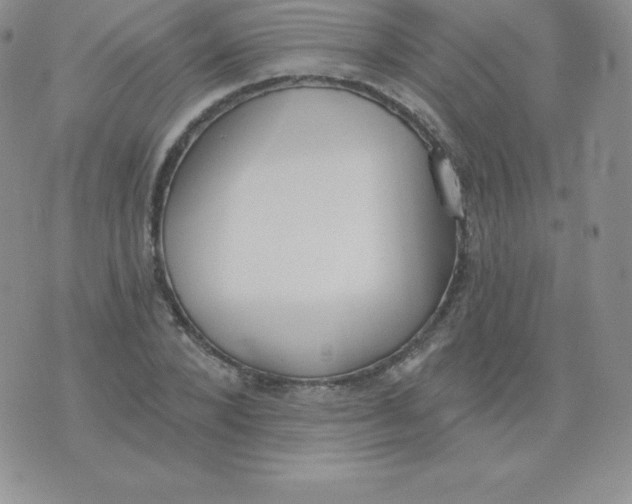 X0000071940880200607281941