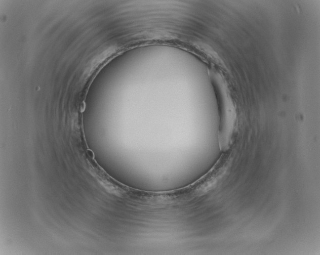 X0000071940881200607281941