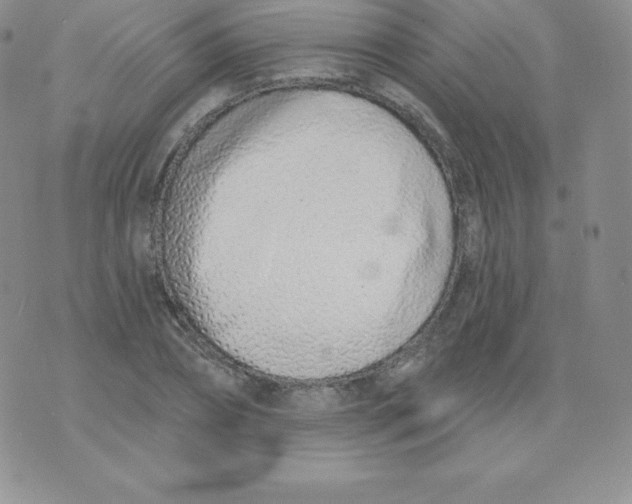 X0000071940882200607281941