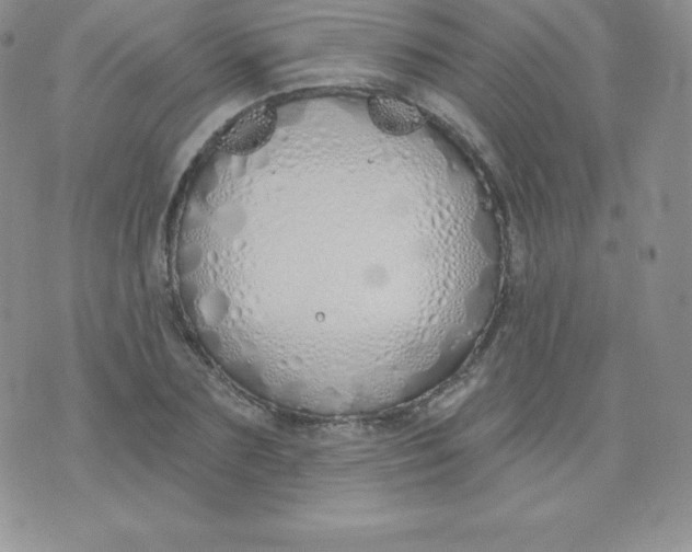 X0000071940883200607281941