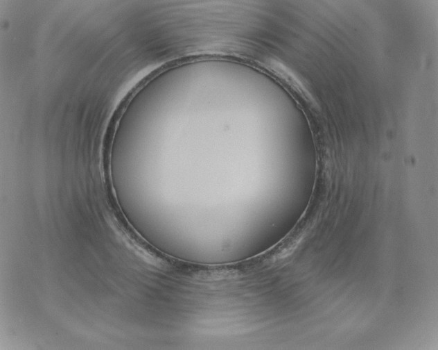 X0000071940884200607281941