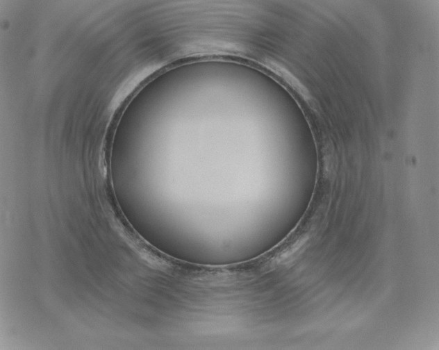 X0000071940885200607281941