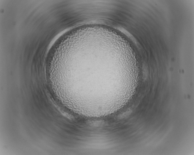 X0000071940886200607281941