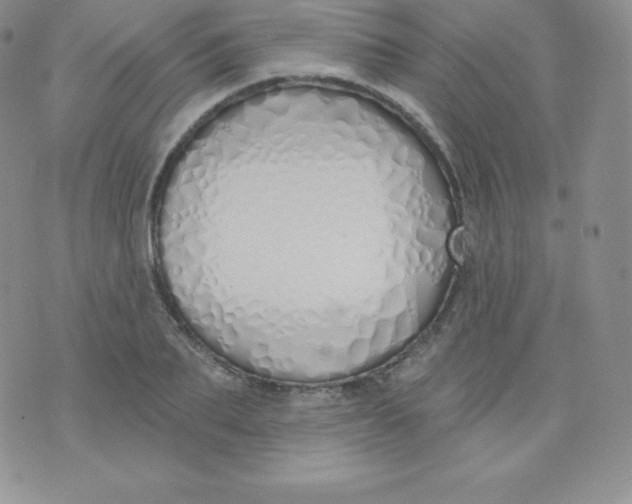 X0000071940887200607281941