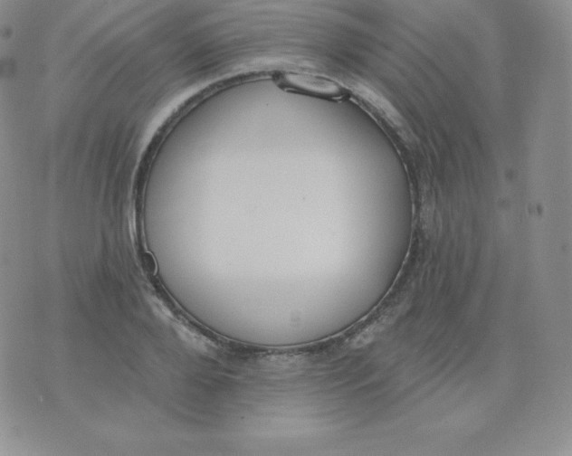 X0000071940888200607281941