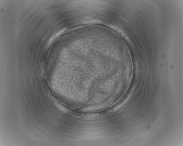 X0000071940889200607281941