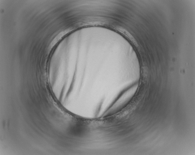 X0000071940890200607281941