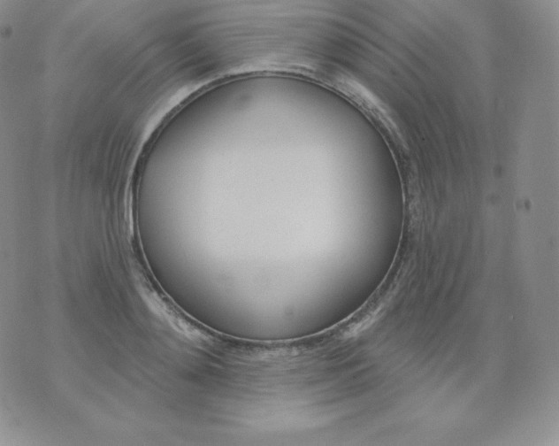 X0000071940892200607281941