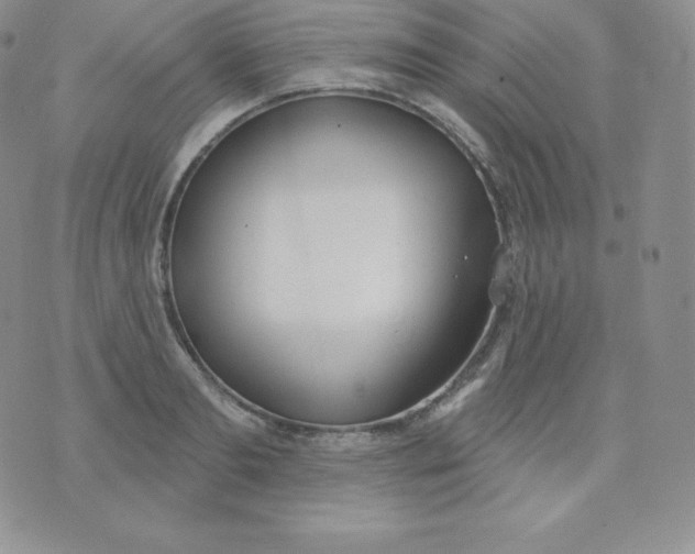 X0000071940893200607281940