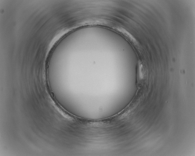 X0000071940894200607281940