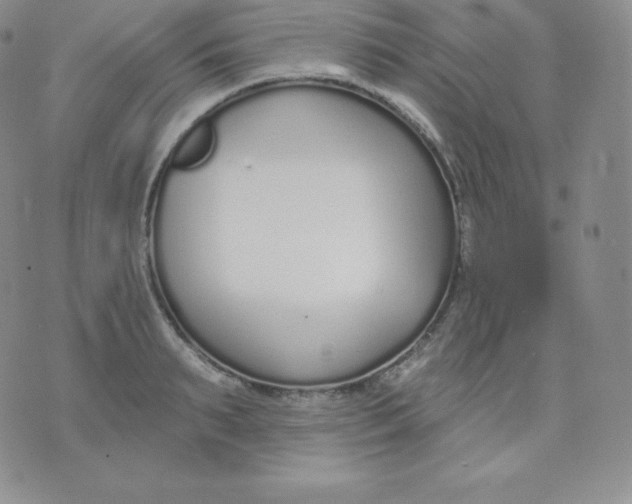 X0000071940895200607281940