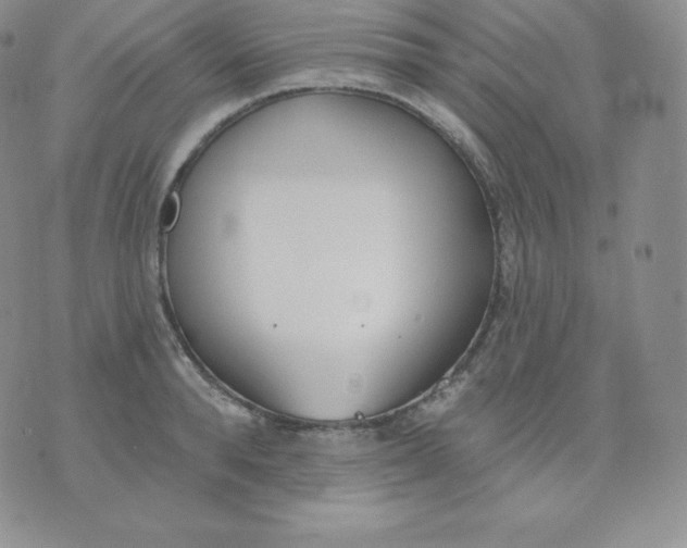 X0000071940896200607281940