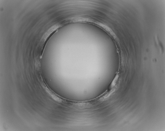 X0000071940897200607281940