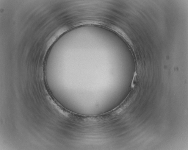 X0000071940898200607281940